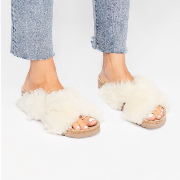 papillio daytona shearling